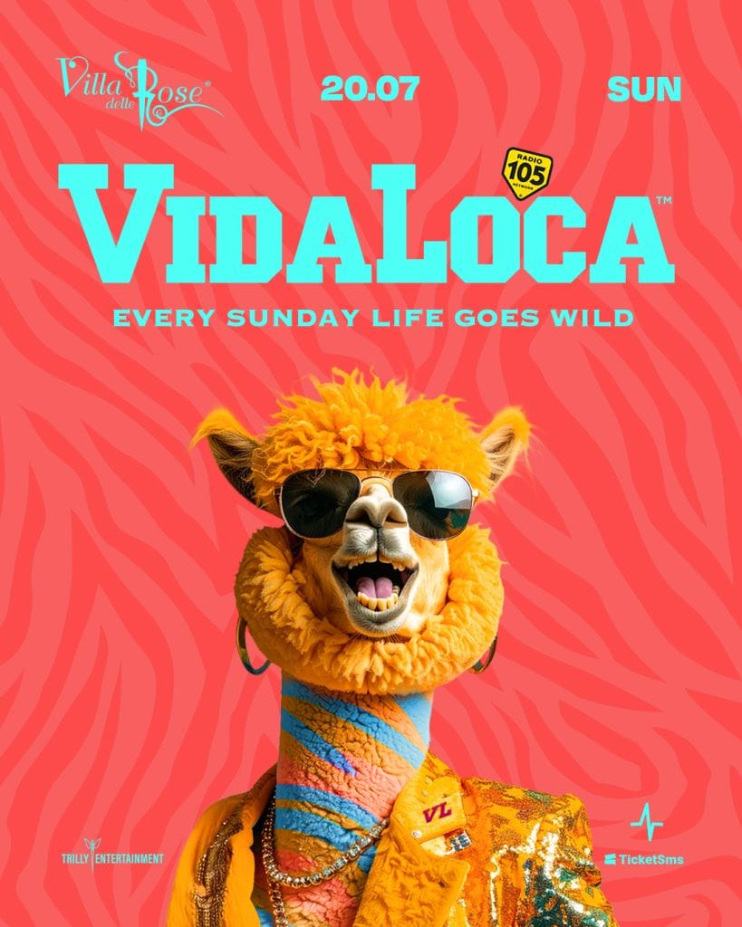 rebranding digitale vida loca